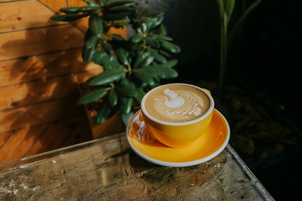 Tendances Enfantines du Printemps : La Mode Pleine de Fraîcheur